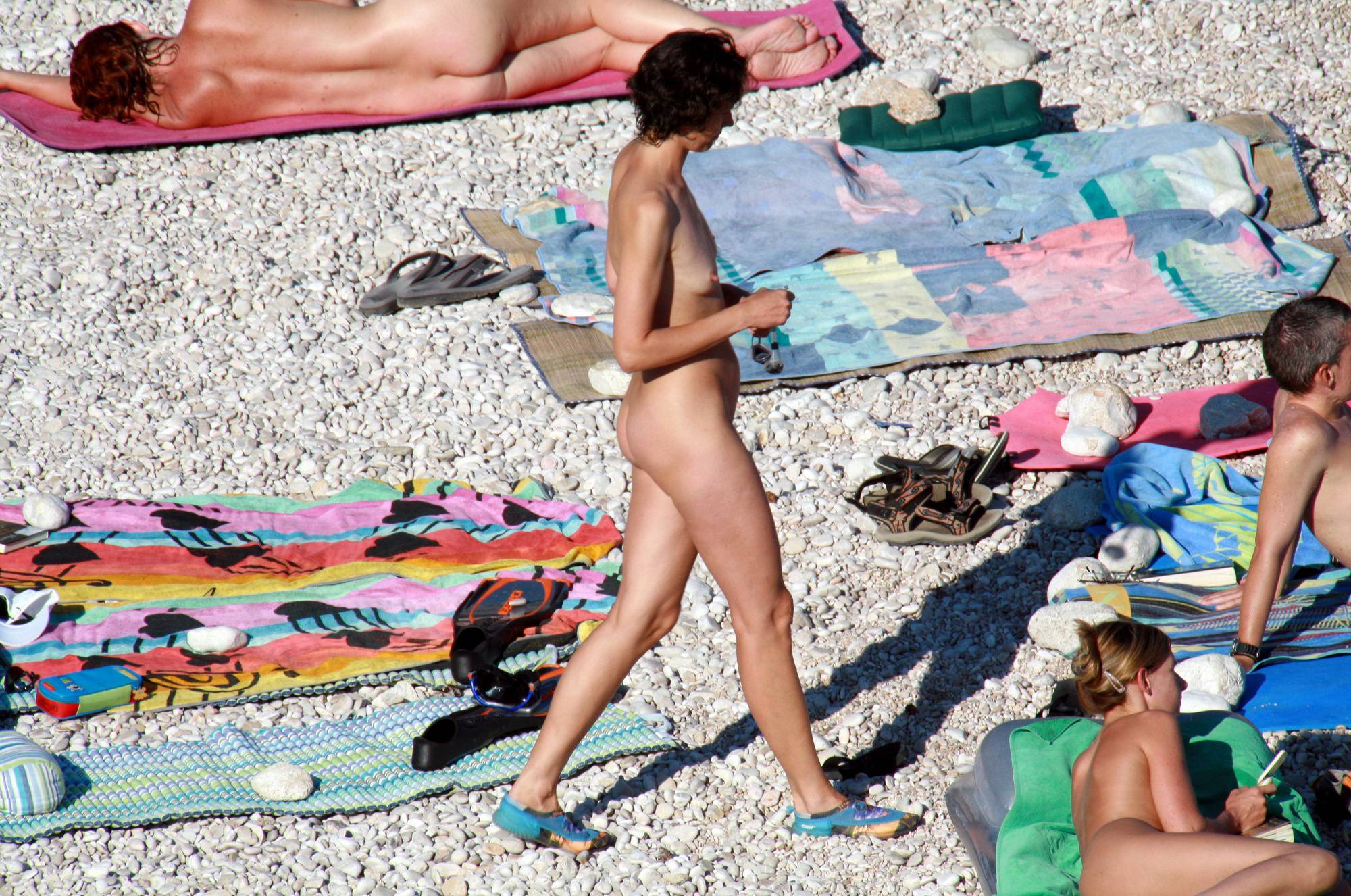 Pure Nudism Images Nudist Beach Assortment - 1